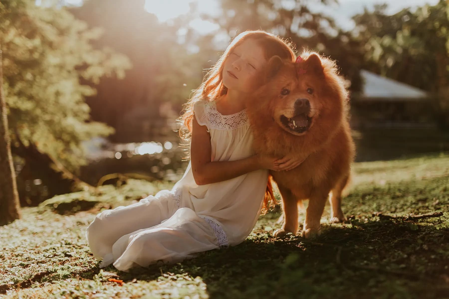 A girl hugging her fluffy dog in warm evening light